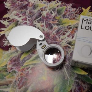 Lupa LED 40x25mm