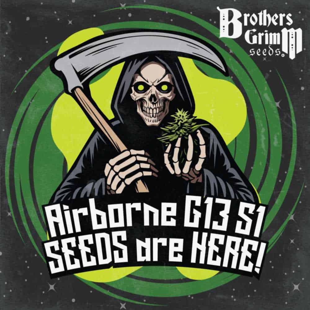 Airborne G13 S1