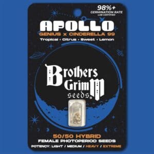 Apollo
