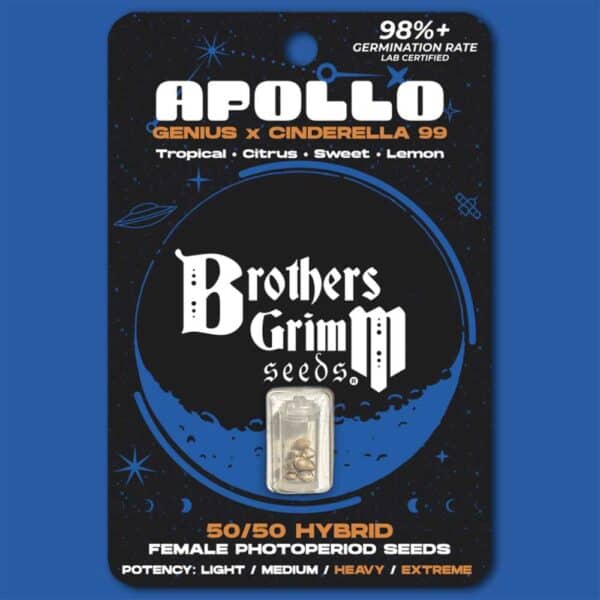 Apollo
