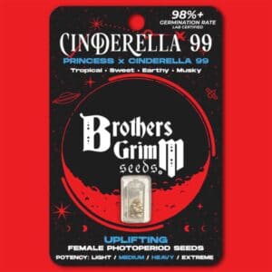 Cinderella 99