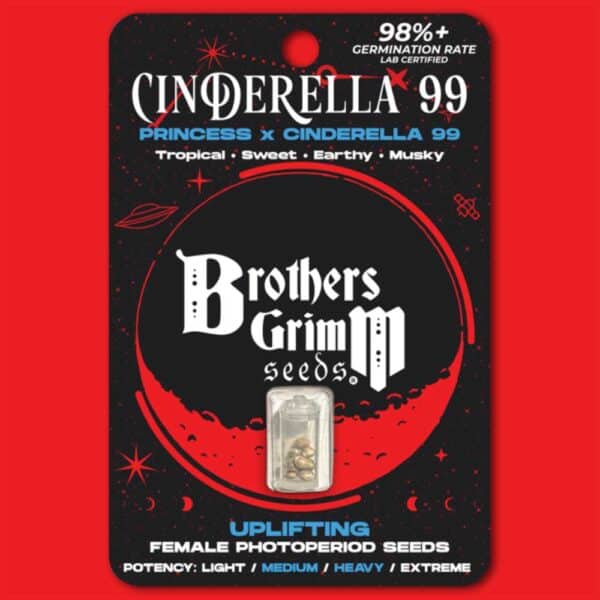 Cinderella 99