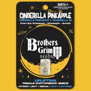 Cinderella Pineapple