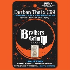Durban Thai x C99