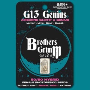 G13 Genius