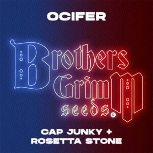 Ocifer