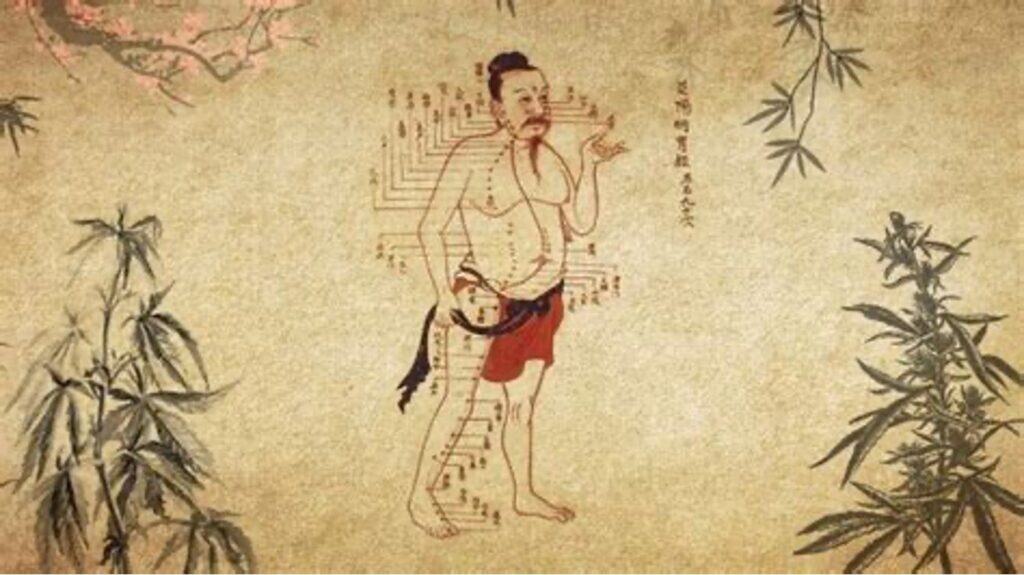 historia nasion konopi - chiny