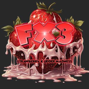 FX3