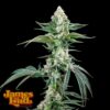 OG Kush Auto F4 IBL