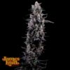 Sour Grape Diesel