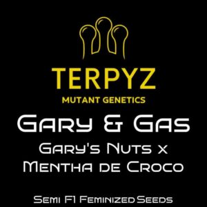 Gary & Gas