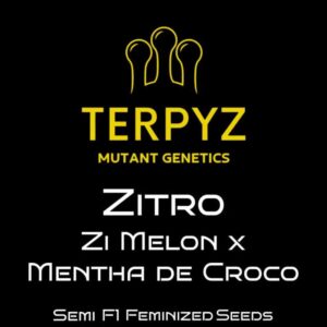 Zitro