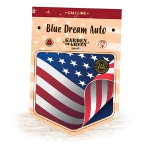 Blue Dream Auto GoG