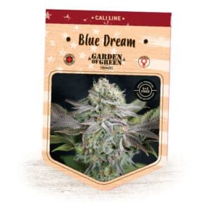 Blue Dream GoG