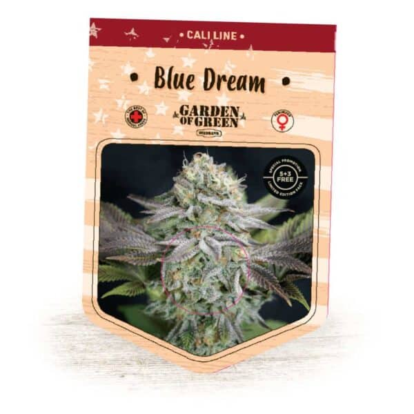Blue Dream GoG