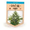 Critical XXL GoG