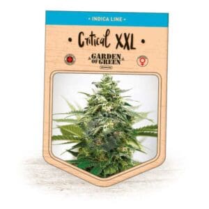 Critical XXL GoG