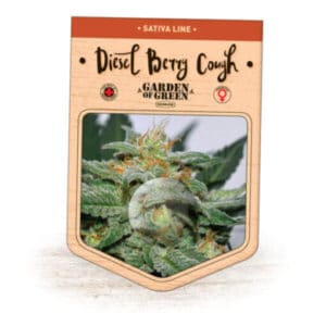 Diesel Berry Cough