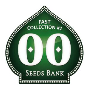 Fast Collection #1