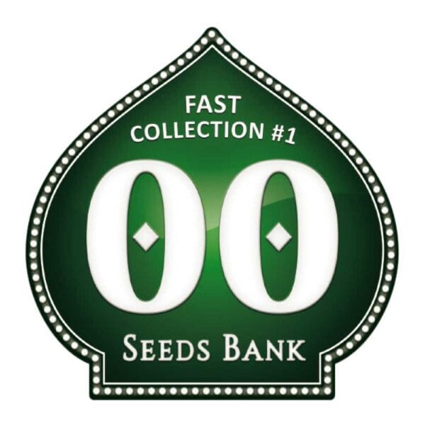 Fast Collection #1
