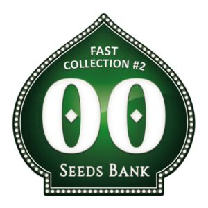 Fast Collection #2