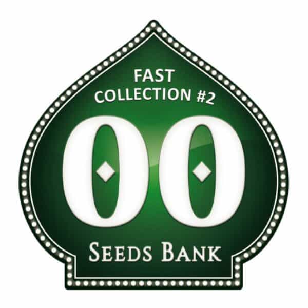 Fast Collection #2