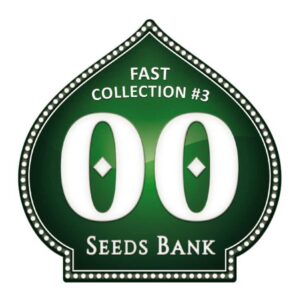 Fast Collection #3