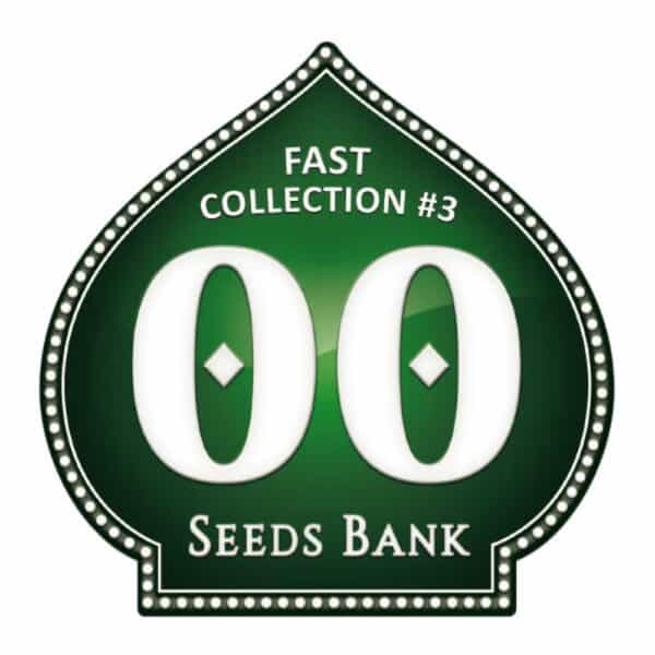 Fast Collection #3