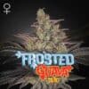 Frosted Guava Auto