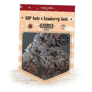 GDP Auto X Gumberry Auto