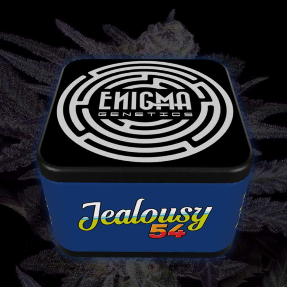 Jealousy 54