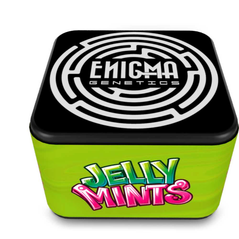 Jelly Mints