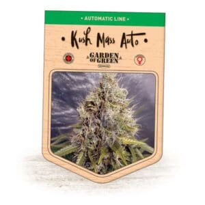 Kush Mass Auto