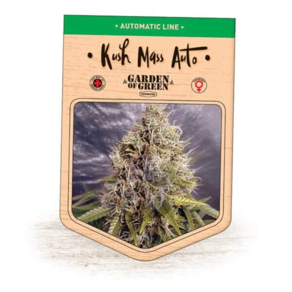 Kush Mass Auto