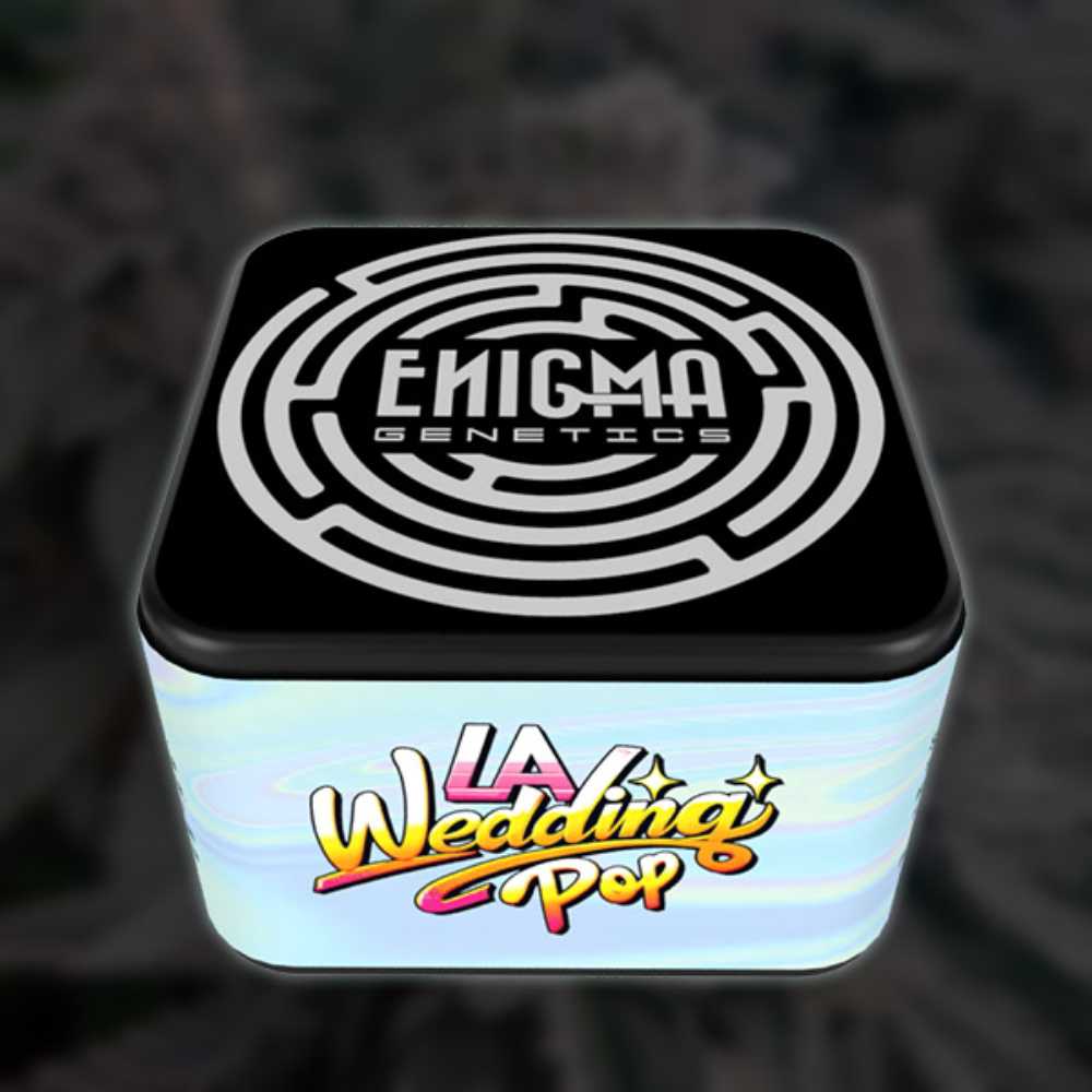 LA Wedding Pop