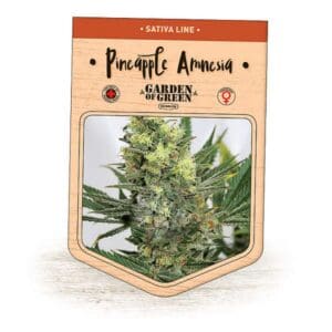 Pineapple Amnesia