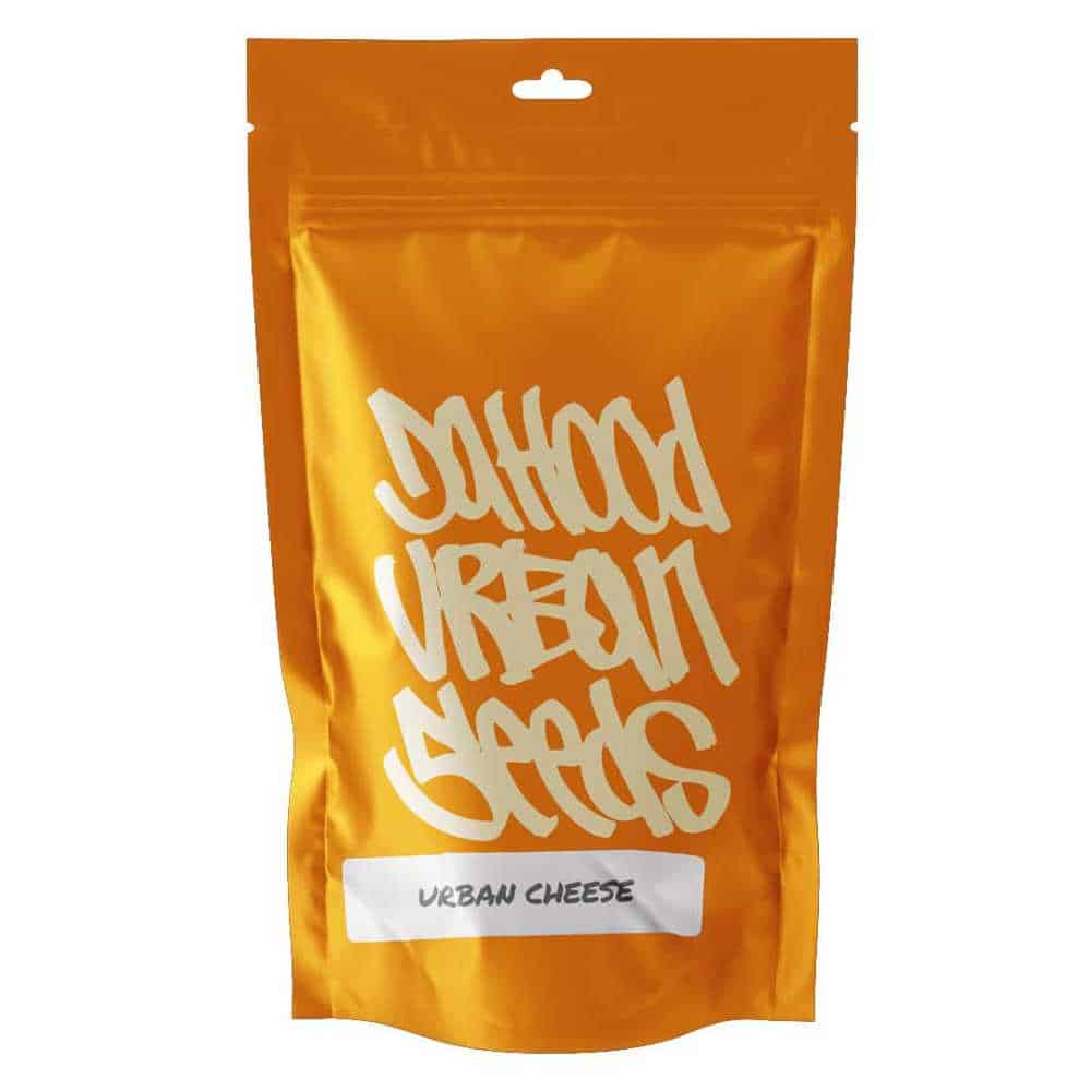 Urban Cheese