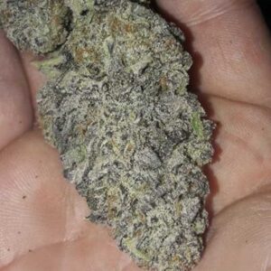Zurple Punch BX