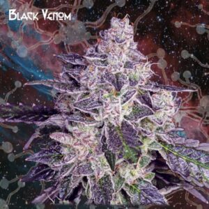 Black Venom