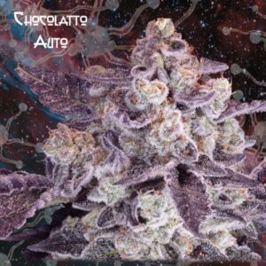 Chocolatto Auto
