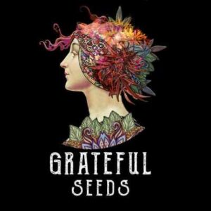 Grateful Seeds