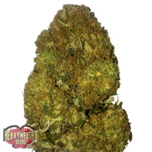 Skunky Monkey Auto