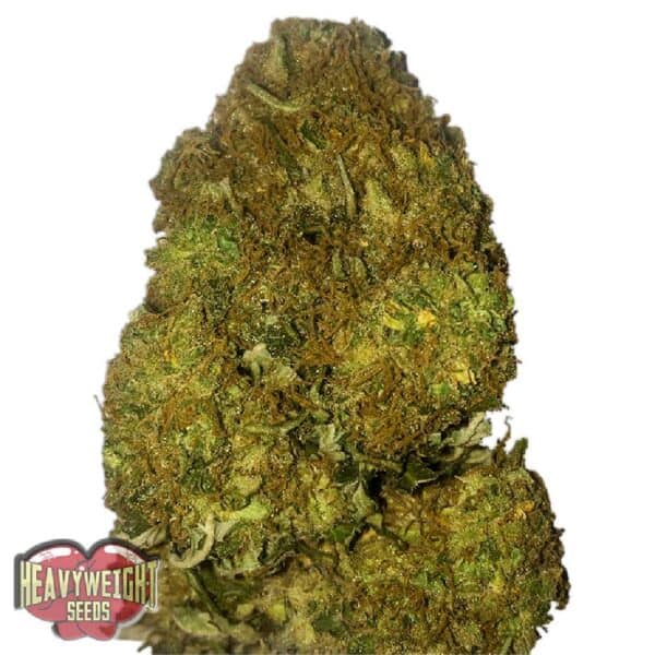 Skunky Monkey Auto