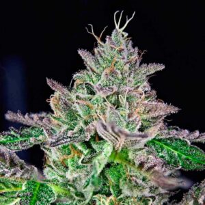 Strawmelon