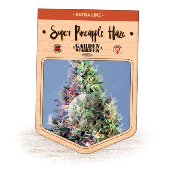 Super Pineapple Haze