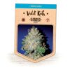 Violet Kush