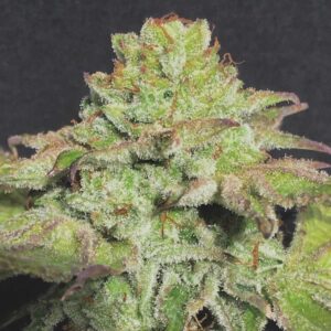 Alien Wedding Cookies