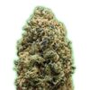 Monster Bruce Banner