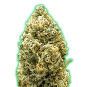 Monster Bruce Banner Auto