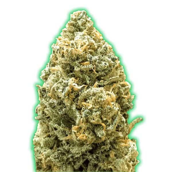 Monster Bruce Banner Auto